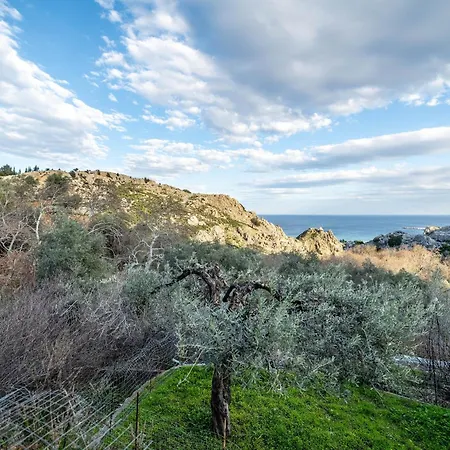 Springs Petronas Daire